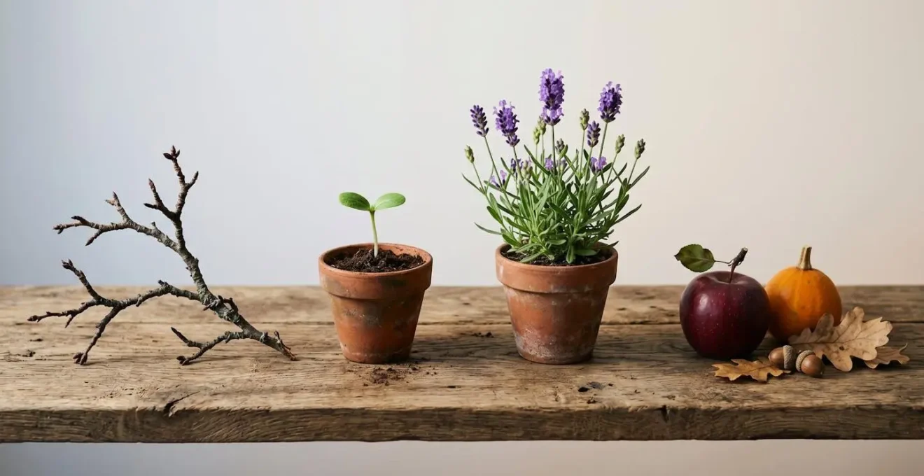 Four distinct seasonal natural elements arranged in progression showing transformation and growth representing a year-long health journey